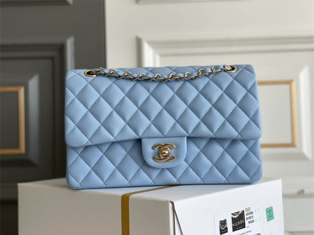 Chanel classic flap 25cm 2025 new 